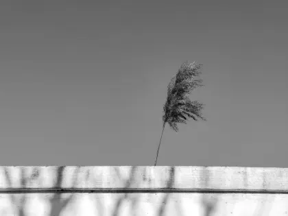 جيايزدزد كازينو تطبيق الهاتف المحمول